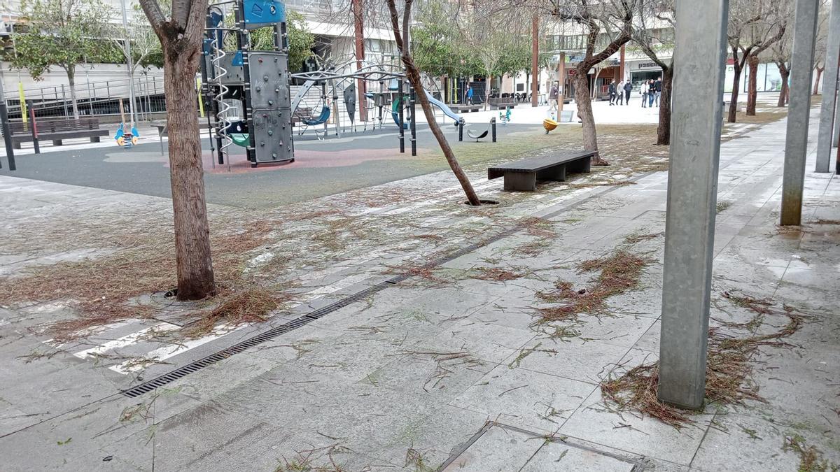GALERÍA | Los estragos de la tormenta de granizo en Zamora