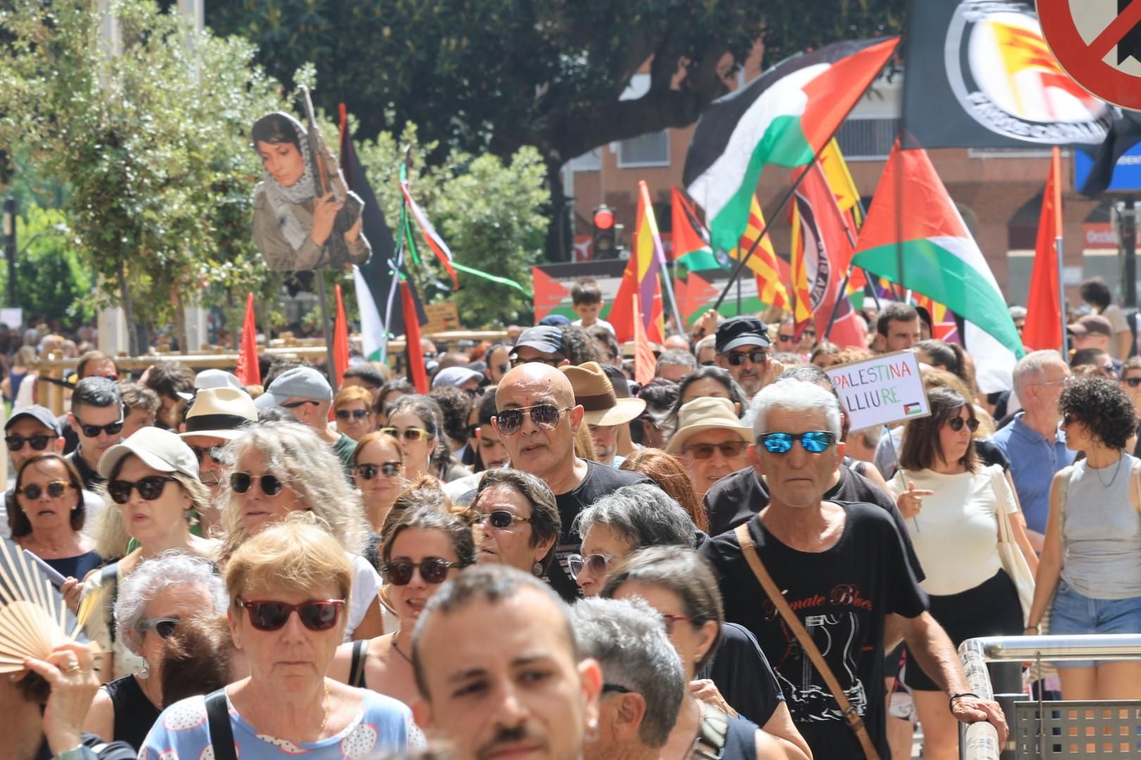 Manifestación a favor del pueblo palestino y la paz en Castellón