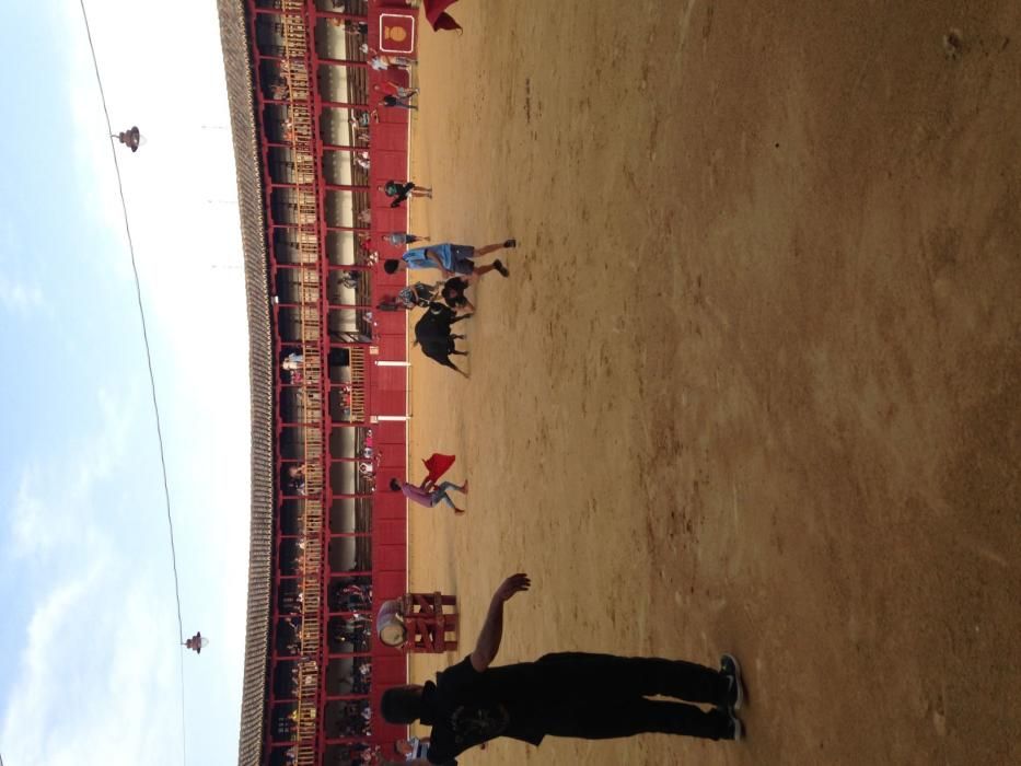 Fiestas Toro- concurso de jóvenes cortadores