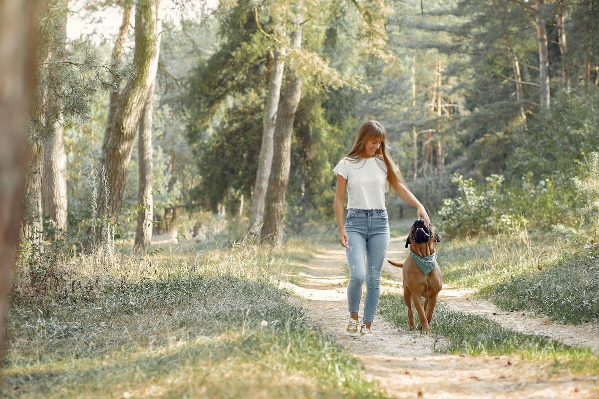 ELEGIR UNA CASETA PARA PERROS - Lupa Ibérica