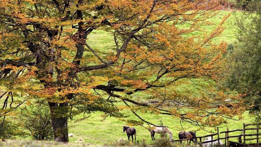 El tiempo en Asturias: semana totalmente otoñal