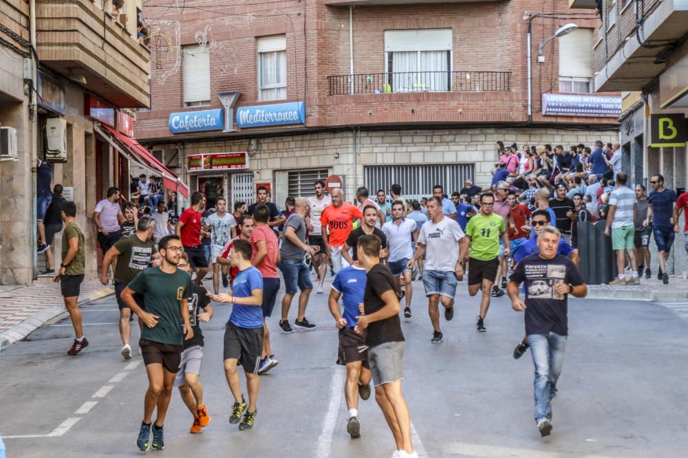 Encierro de toros en Castalla