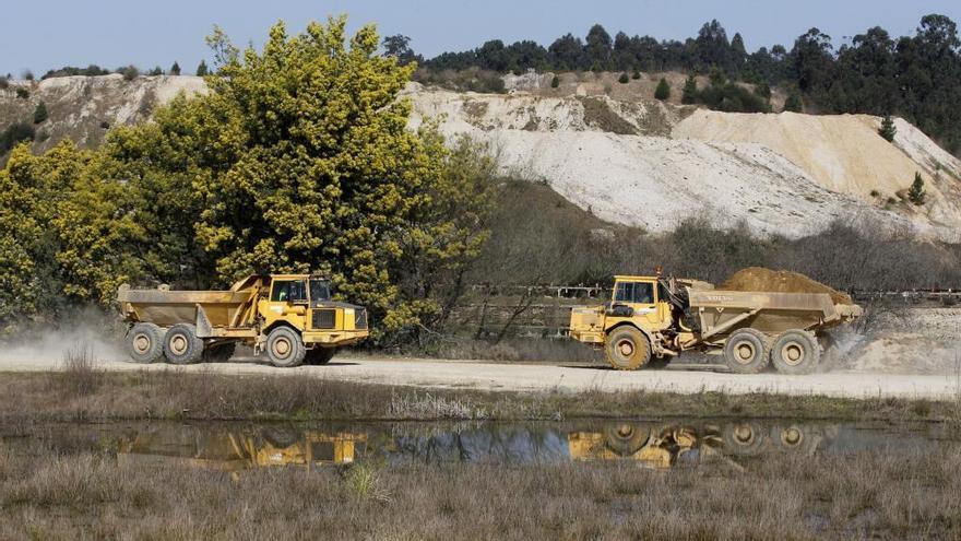 Unas máquinas trabajan en los terrenos de la Plisan, en Salvaterra. / José Lores