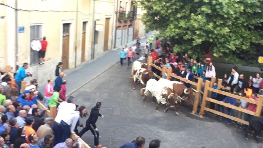 Toro de cajón y encierro urbano en Toro