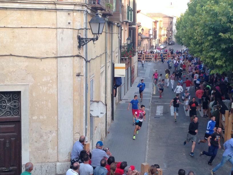 Fiestas Toro: Encierro urbano y suelta de vaquilla