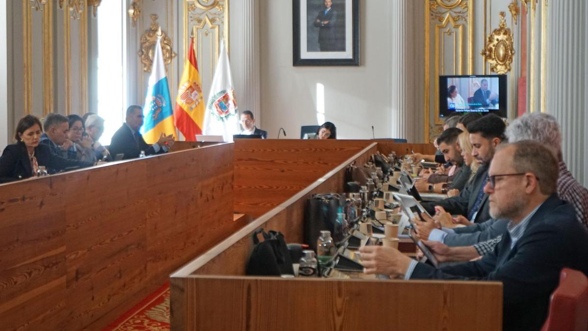 Pleno dedicado al caso Valka, este jueves.