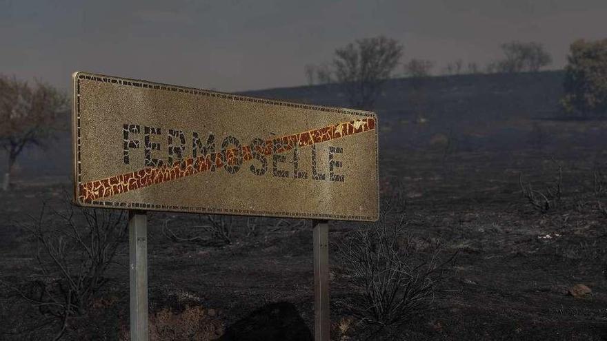 Terreno de Fermoselle afectado por el incendio de este verano.