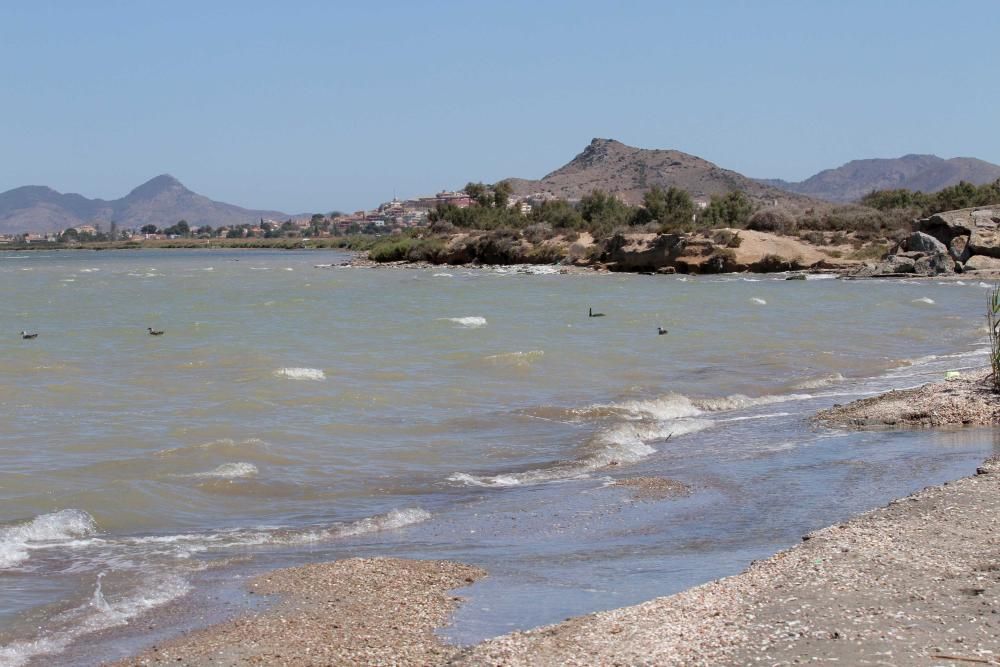 La rambla de El Albujón, epicentro de los vertidos al Mar Menor