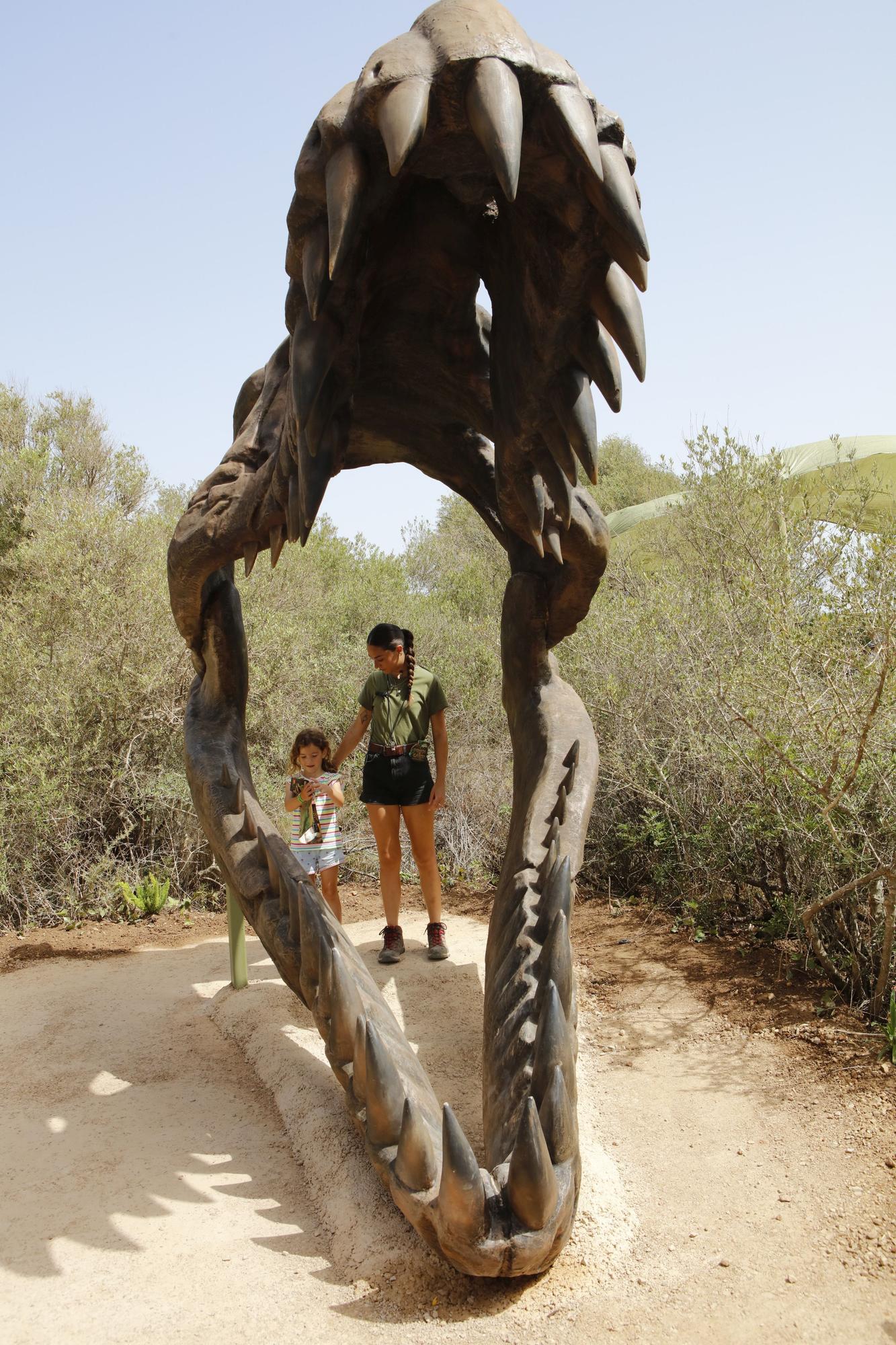 Besuch im neuen Dino-Park auf Mallorca