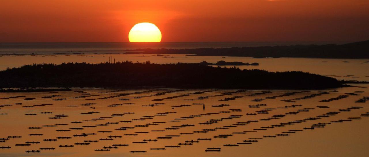 Mexillón de Galicia defiende la sostenibilidad ambiental del cultivo en batea. | // NOÉ PARGA