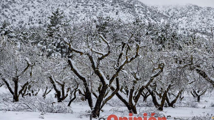 La comarca del Noroeste ofrece una estampa invernal