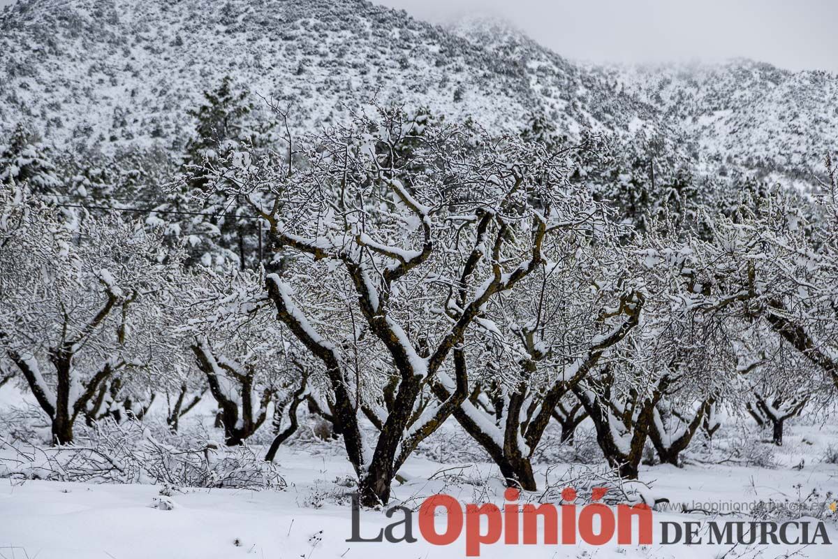 La comarca del Noroeste ofrece una estampa invernal