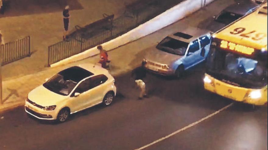 Una guagua sufre un ataque con piedras en un polígono de la capital grancanaria