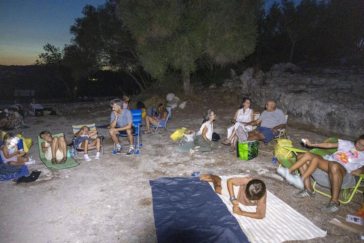 Las Perseidas en Mallorca, así se han visto desde Son Fornés