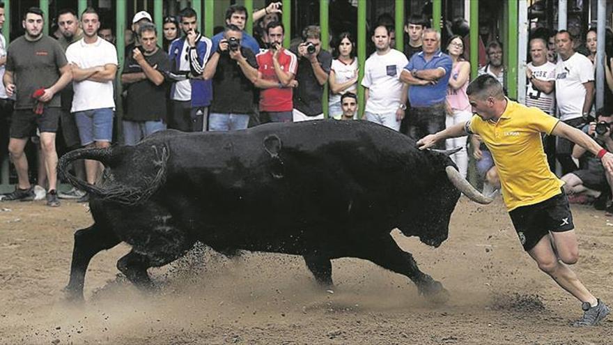 La afición despide una semana con grandes momentos de ‘bous al carrer’