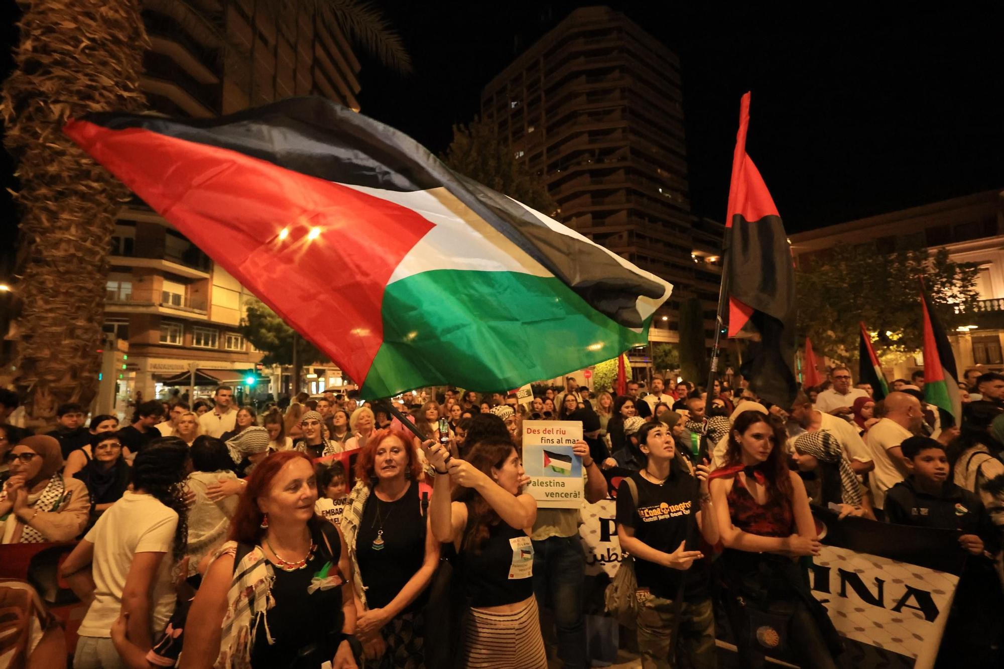 Galería de imágenes: Castellón sale a la calle en defensa de Palestina