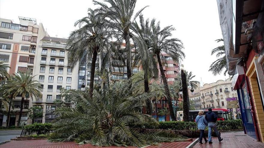 Murcia vive su peor temporal de lluvia y viento en 50 años