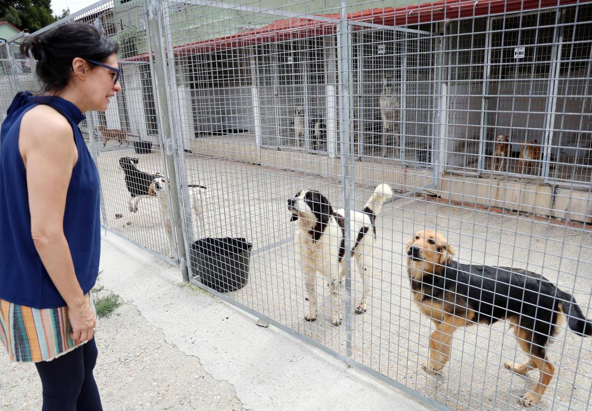 La Asociación Protectora de Animales dice adiós al refugio de A Madroa tras casi medio siglo