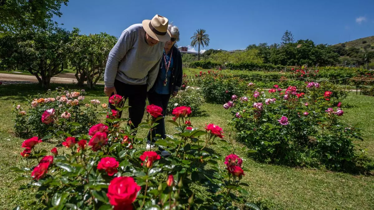 La ruta de la primavera: planes en Barcelona llenos de flores