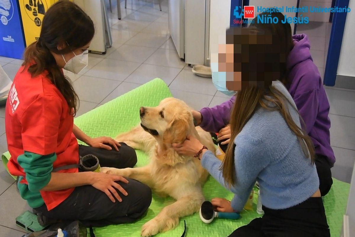 El trabajar con perros una vez a la semana mejora los trastornos de conducta alimentaria de las pacientes adolescentes El trabajar con perros una vez a la semana mejora los trastornos de conducta alimentaria de las pacientes adolescentes