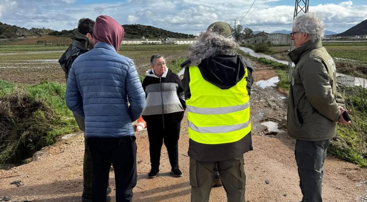 Visita a los puntos críticos.