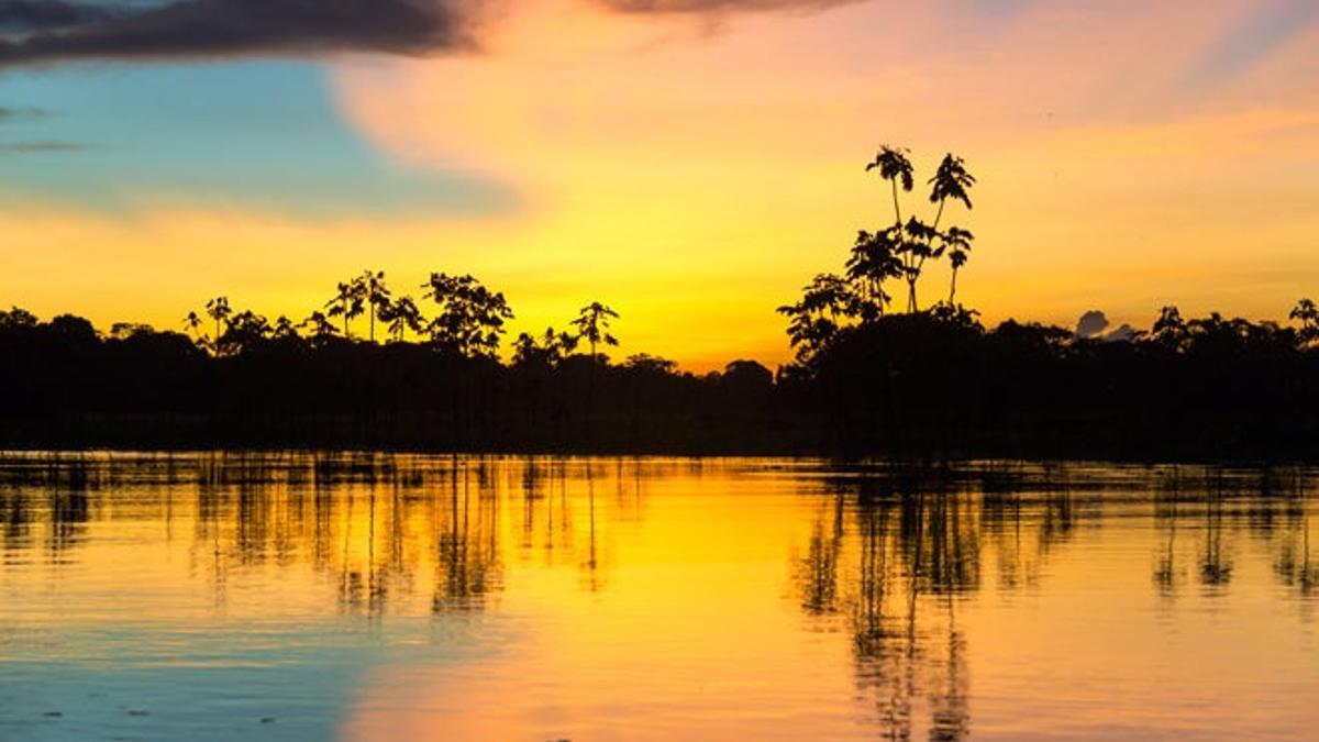 Guía del Alto Amazonas