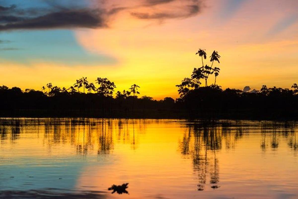 Guía del Alto Amazonas