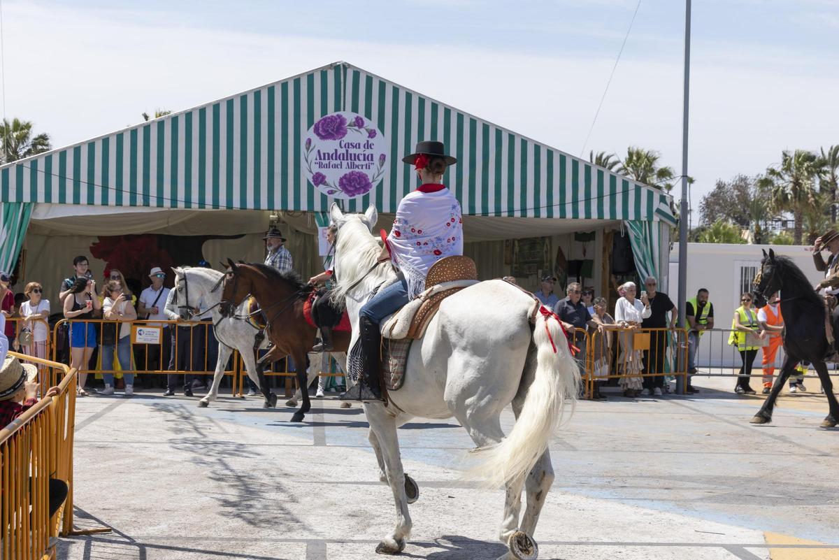 Desfile de carrozas y caballistas de la Feria de Mayo 2026 de Torrevieja este domingo