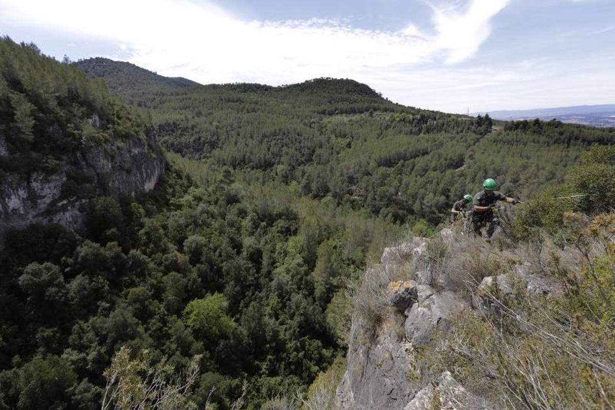 Agentes rurales anillan halcones peregrinos en el Penedès