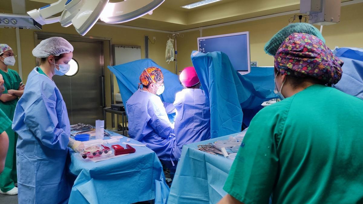 Cirugía ginecológica en el Hospital Valle del Nalón