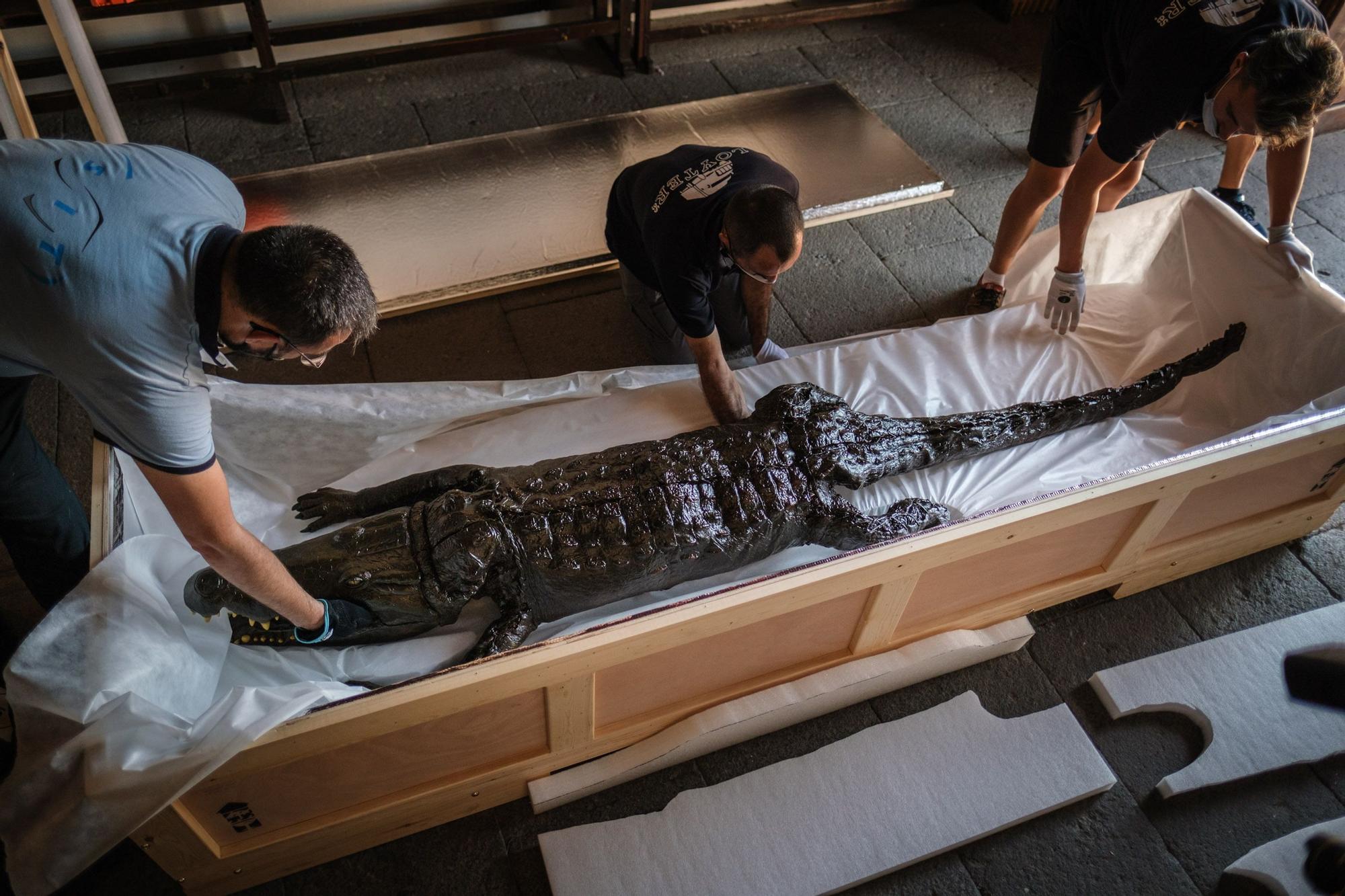 Traslado de la Virgen y el caimán de Las Angustias