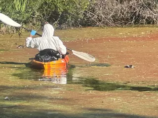 El caso de las aves muertas de la Lagoa de Massó sigue en Medio Ambiente sin resultados