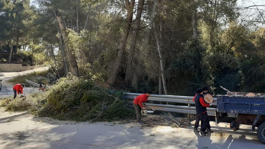 Ontinyent realiza tareas de prevención de incendios forestales y mejora del entorno con la brigada Emerge