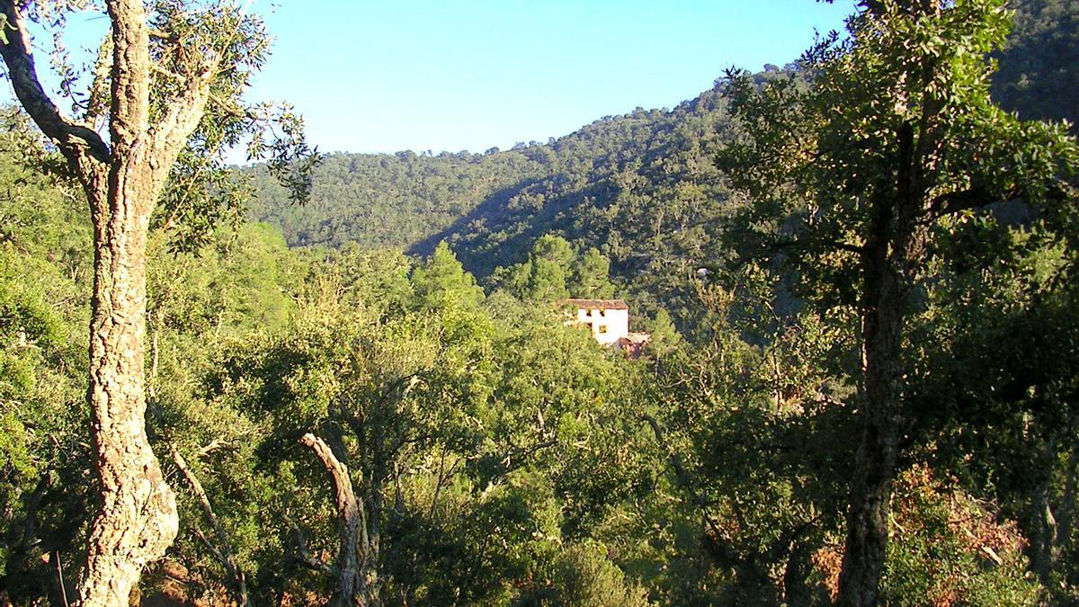 Paraje de la Mosquera