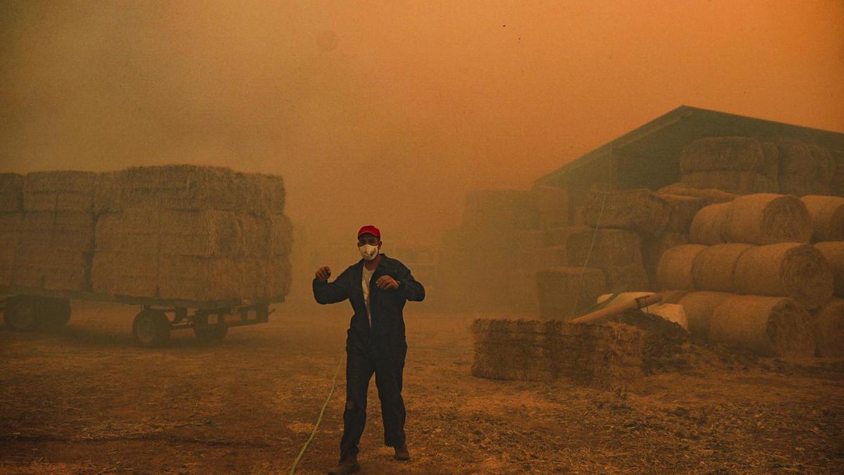 Imágenes del incendio originado en Lober de Aliste.