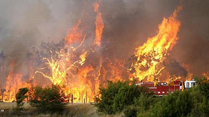 Ya son 96 las víctimas mortales en los incendios forestales de Australia