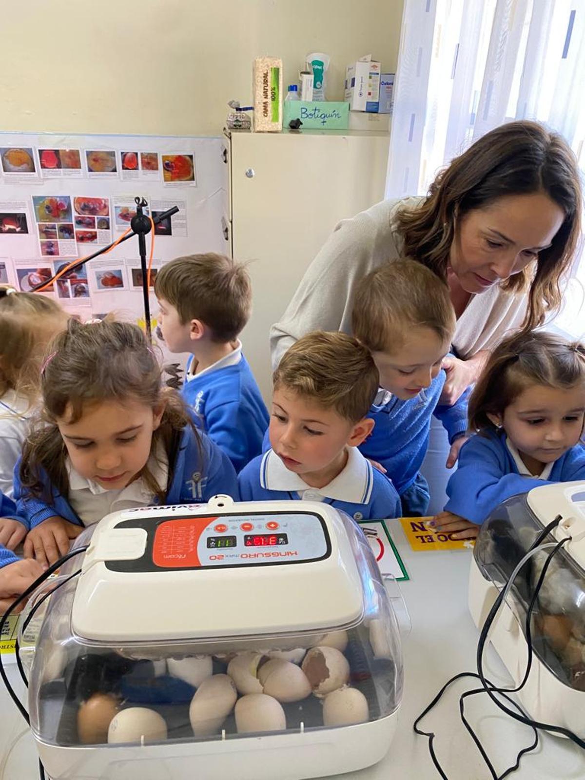 La incubadora digital se ha convertido en un elemento más de este aula del colegio Fundación Flors.