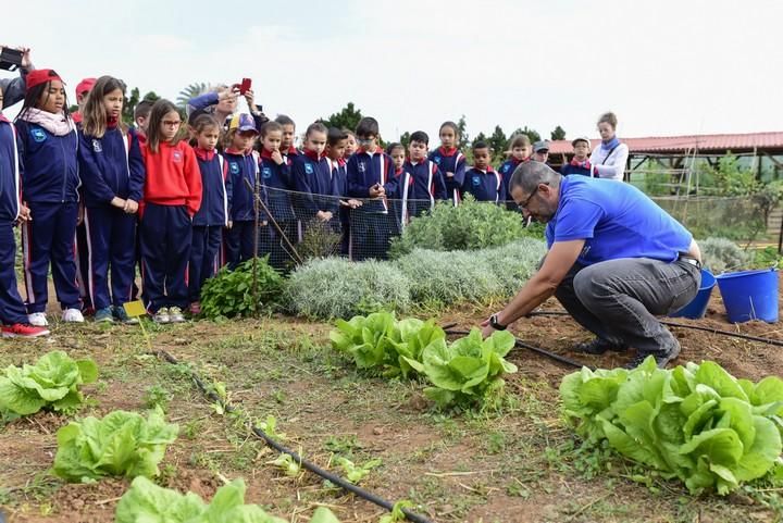 Visita escolar a la Granja Agricola del Cabildo