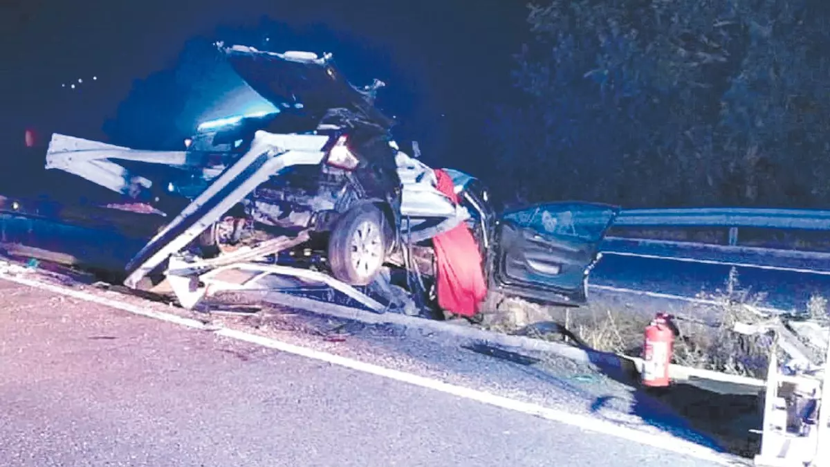 Los accidentes con animales saturan las carreteras gallegas: soportan casi el 20% de toda España