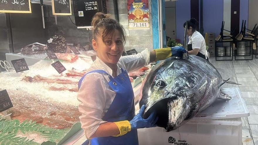 Asturias quiere más atún rojo: el Principado busca ampliar la cuota de capturas, tras la pesca en una semana de cuatro ejemplares de casi 200 kilos