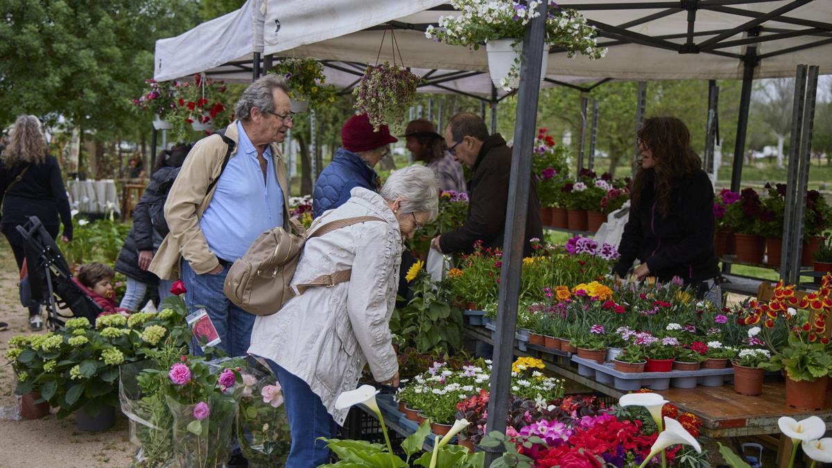 El sector de la flor i el planter es troben a Salt per celebrar l’arribada de la primavera