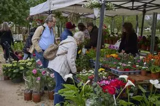 El sector de la flor i el planter es troben a Salt per celebrar l’arribada de la primavera