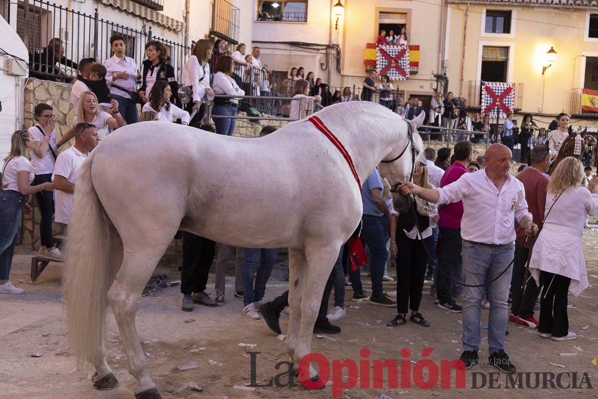 Fiestas de Caravaca | Entrega de premios del concurso morfológico