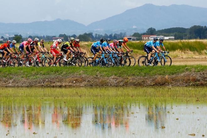 El peloton viaja durante la etapa quince del 102º Giro de Italia - Tour de Italia - carrera ciclista, 232kms desde Ivrea a Como.