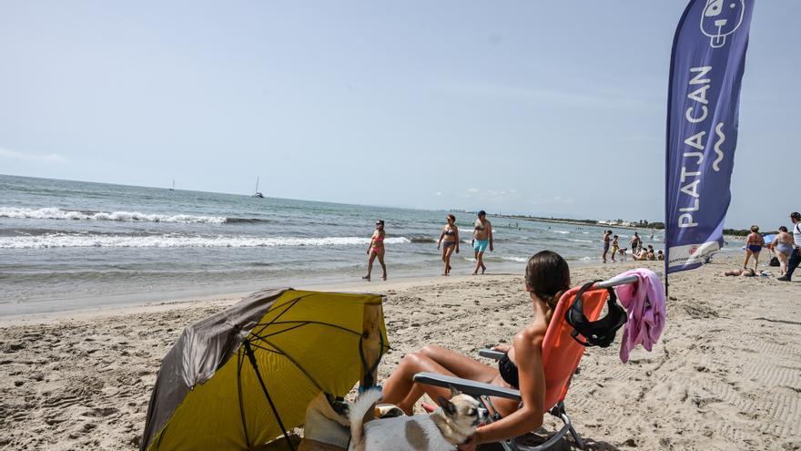 Así es la playa para perros de Pinedo