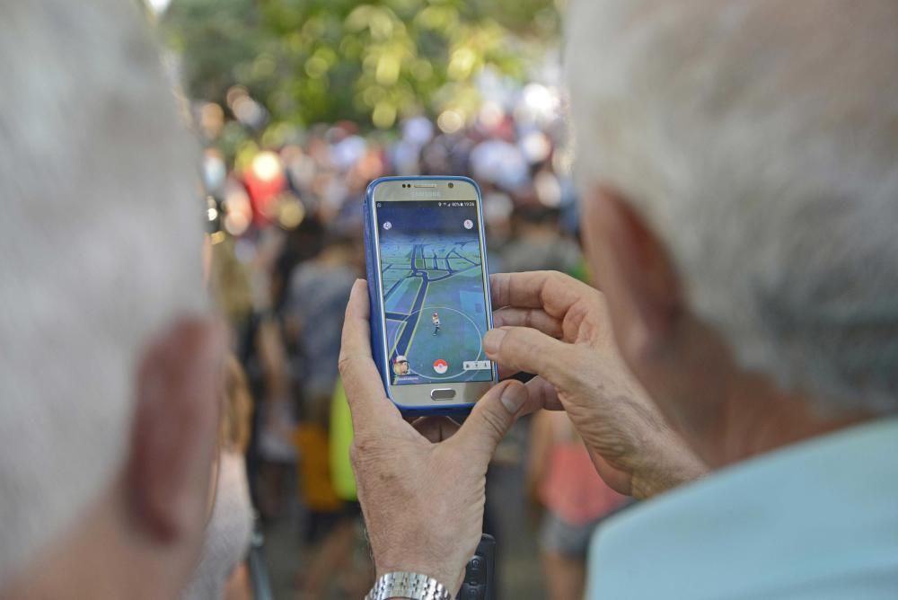 Palma se suma a la caza de pokémons