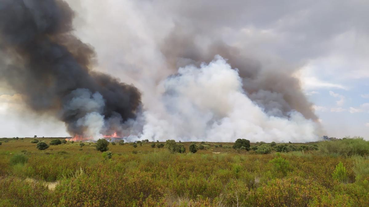 Incendio en Losacio