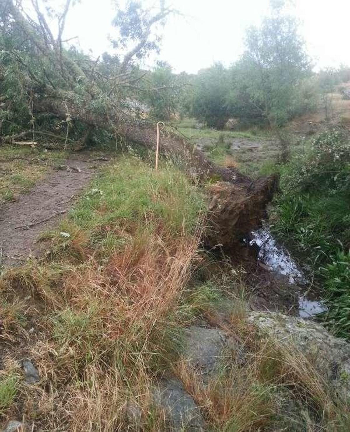 Las tormentas generan múltiples cortes de luz y teléfono en la zona oeste de la provincia