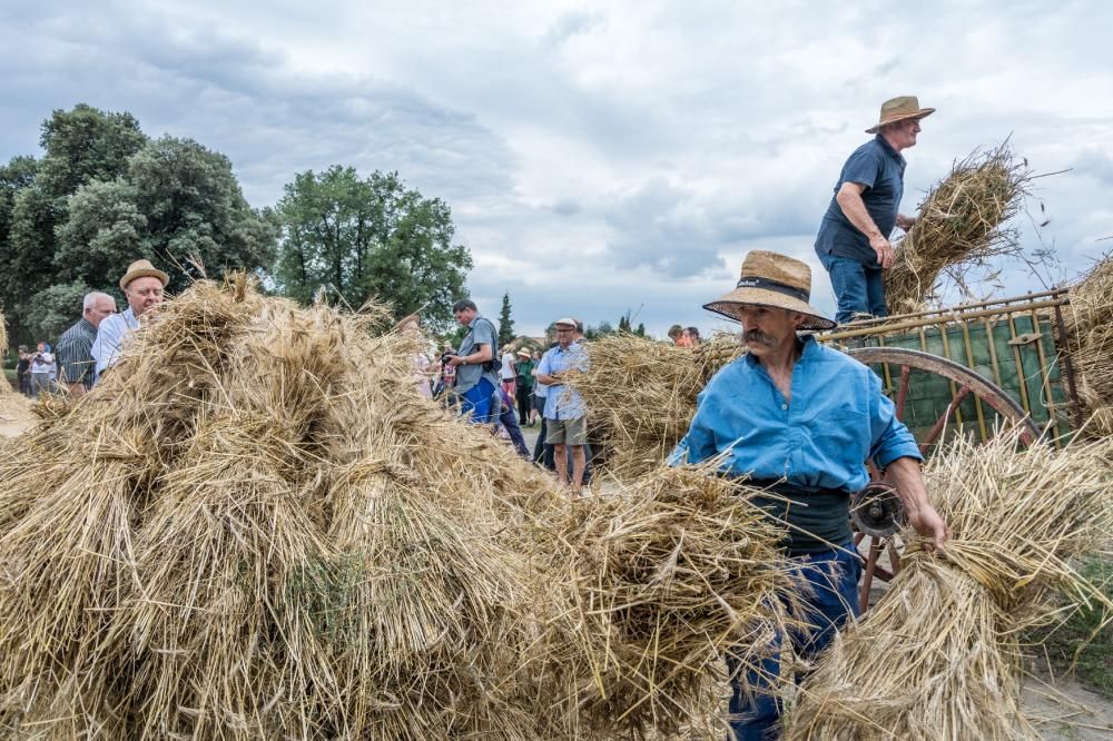 Avià manté amb força la transmissió de la tradició