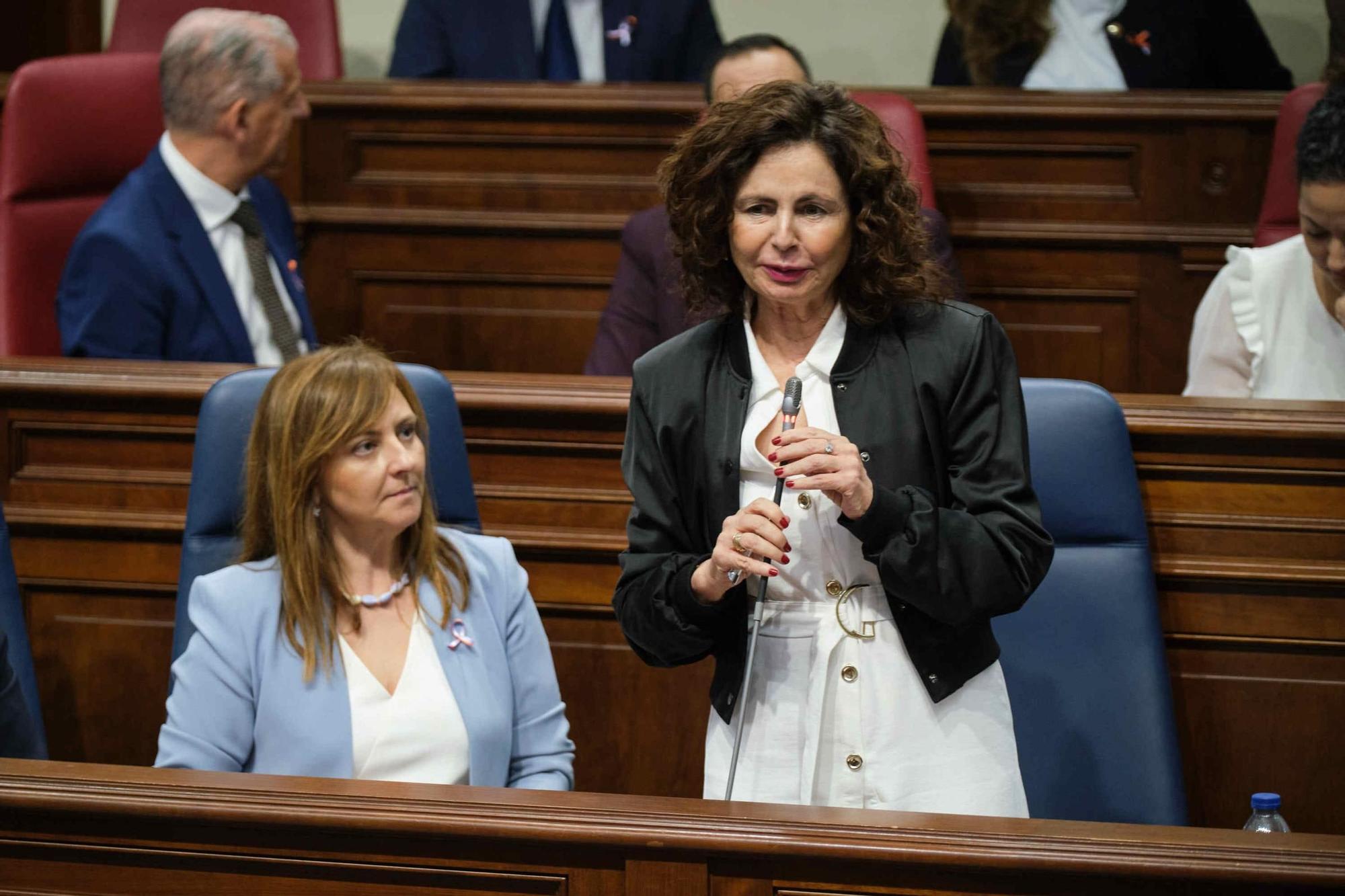 Sesión plenaria del Parlamento de Canarias.